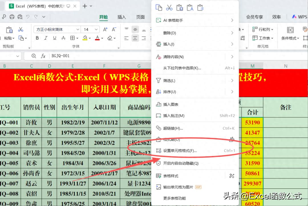 WPS表格与Excel单元格格式设置全攻略，这些技巧值得收藏