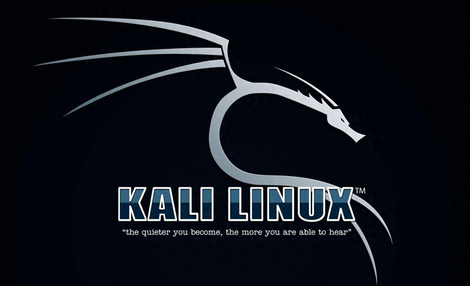 Kali Linux 实战入门：系统详解与安全工具解析