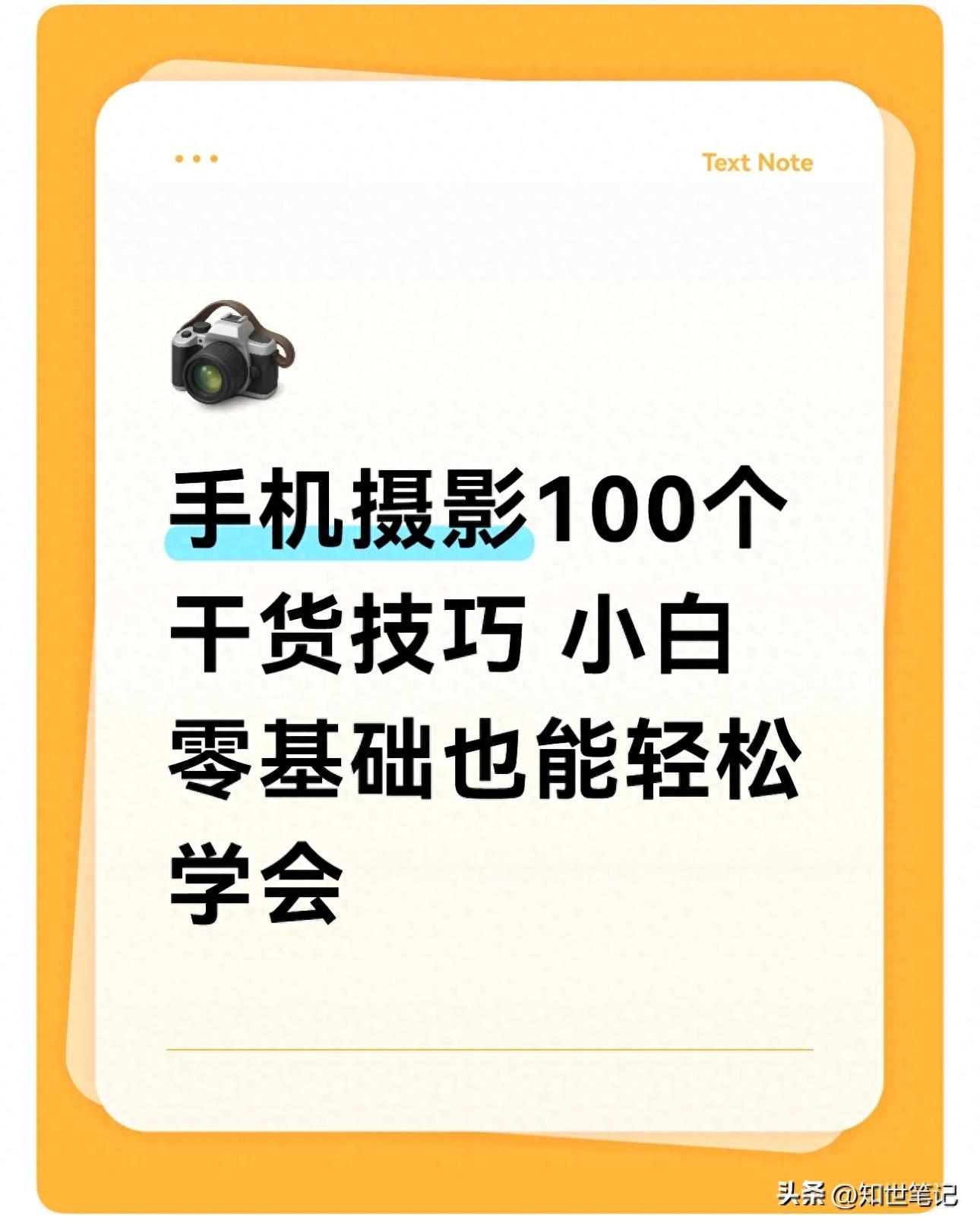 手机摄影新手必学：100个实用技巧，轻松拍出高级感照片