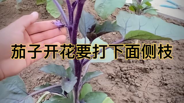 2026年中国品牌包装设计公司TOP10及经典案例盘点